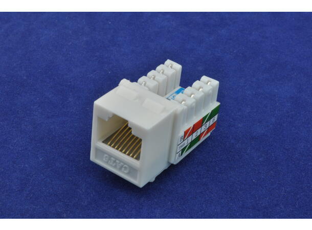 PHS Keystone Cat6 Innsats for PHS WallPlate 